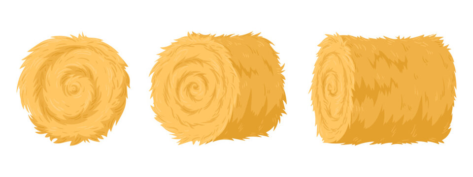 Rolled haycock. Agricultural straw stack, bale of hay from different angles. Rural haystack, dried farm haystack flat vector illustration set