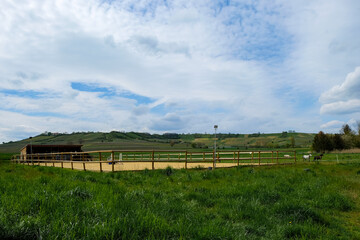 Horse's paddock and stable in the natural environment. Vineyards of a distance. Germany. 