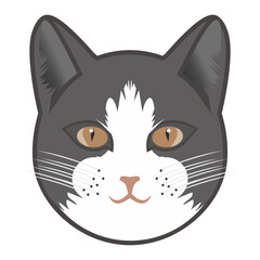 BEAUTIFUL HEADS CAT CAN USE LOGO,ICON AND BRAND