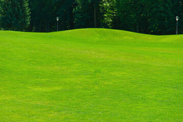 Lush green grass meadow background, grass texture. Beautiful morning light in public park with green grass field an.