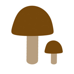 Mushrooms illustration isolated on white background. Autumn illustration. Mushrooms print