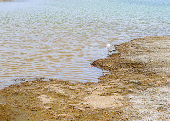 Scene in Himalaya mountain range, view from Ladakh, India
