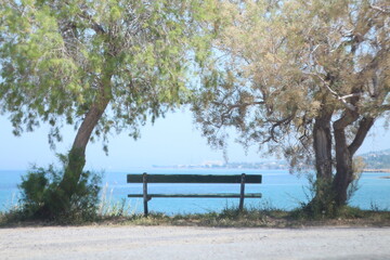 Fototapeta na wymiar Bench, between the trees overlooking the sea