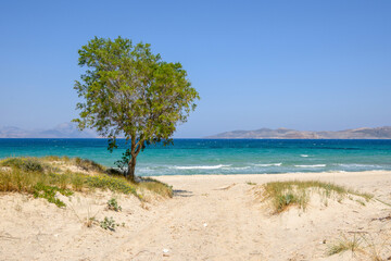 Fototapeta na wymiar Beautiful Marmari beach with golden sand and turquoise water. Kos island, Greec