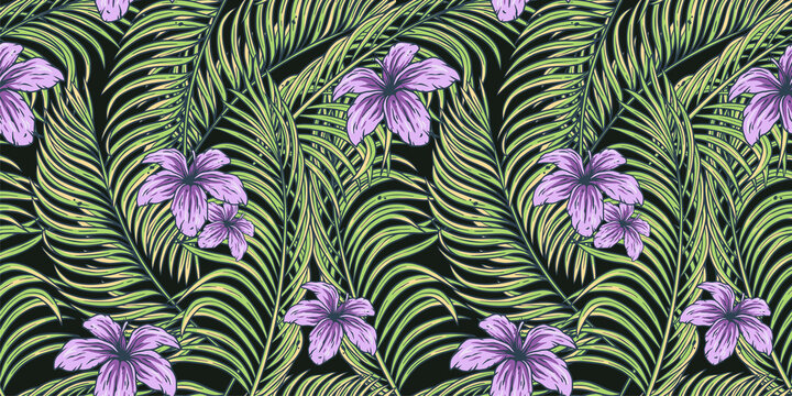 Hawaiian Tribal Patterns Images Browse 5 189 Stock Photos Vectors