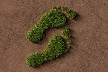 Two footprint shape symbols made from grass on brown soil background, ecology, environment or carbon footprint concept