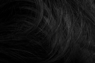 Brunette or black hair. Female long dark hair in black. Beautifully laid curls. Closeup texture in a dark key. Hairdressing, hair care and coloring. Shading gray hair. Background with copy space.