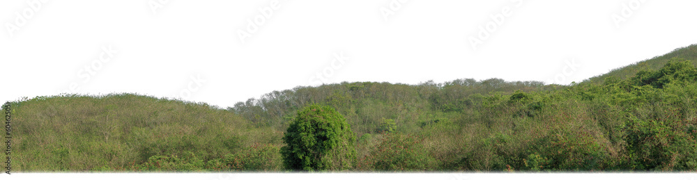 Aufkleber rocky mountain hill with green forest isolated on transparent background with clipping path and alpha channel..