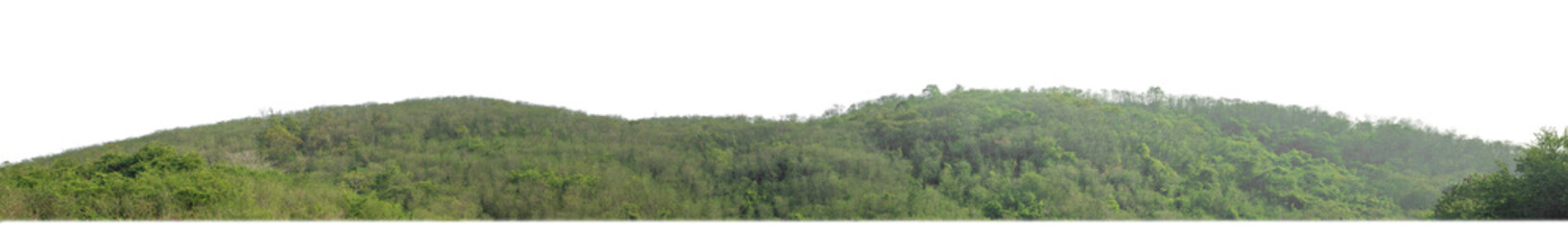 Fototapeta premium rocky mountain hill with green forest isolated on transparent background with clipping path and alpha channel..