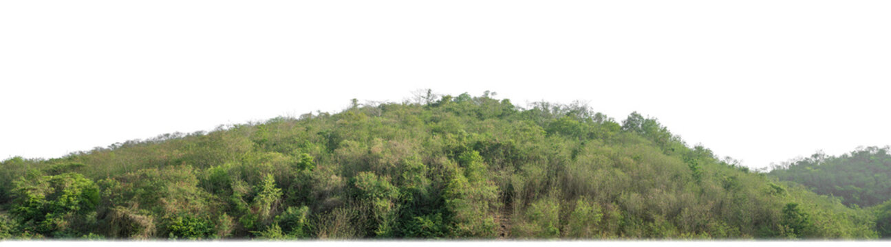 rocky mountain hill with green forest isolated on transparent background with clipping path and alpha channel..