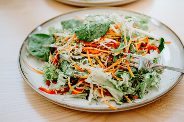 Close up plate full of vitamins: mixed vegetable spring salad