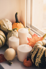 Cozy fall composition.