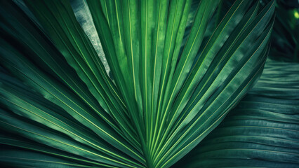 Obraz premium Beautiful green palm leaves background. Tropical nature concept. Selective focus. Created with Generative AI technology.