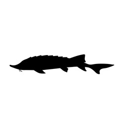 fish silhouette