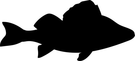 fish silhouette