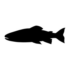 fish silhouette