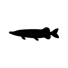 fish silhouette