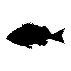 fish silhouette