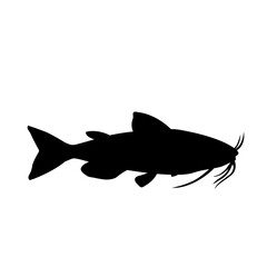 fish silhouette