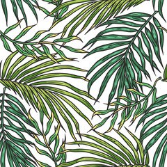 Tropical exotic green leaves or plant seamless pattern for summer background and beach wallpaper.