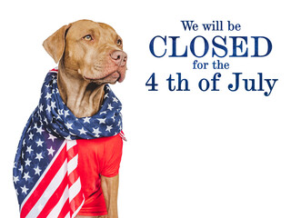 Signboard with the inscription We will be closed for the 4th of July. Cute brown puppy. Closeup, indoors. Studio shot. Congratulations for family, loved ones, friends and colleagues. Pet care concept