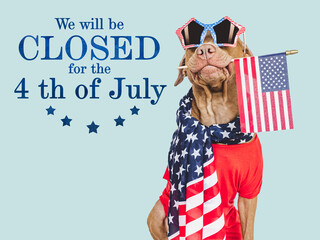 Signboard with the inscription We will be closed for the 4th of July. Cute brown puppy. Closeup,...