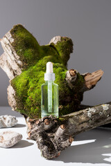 Botella de extracto de musgo, esencia con cuentagotas sobre un tronco de árbol con musgo	