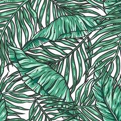 Tropical exotic green leaves or plant seamless pattern for summer background and beach wallpaper.