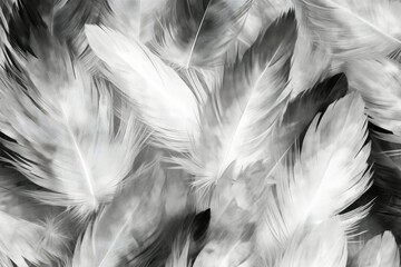 Black and white feathers background as beautiful abstract wallpaper header. Generative AI