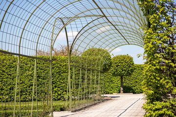 A garden with a pergola and a fence