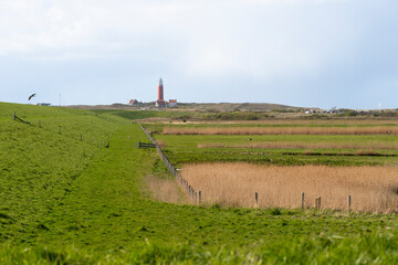 Réserve naturelle, Phare de Eierland, Mer des Wadden, île de la Frise, Ile Texel, Pays Bas