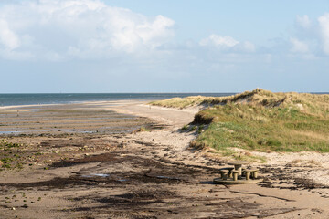 Réserve naturelle, Polder, Mer des Wadden, île de la Frise, Ile Texel, Pays Bas