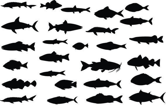 Fish silhouettes vector set.