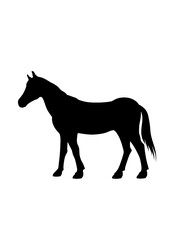 horse silhouette vector
