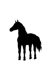 horse silhouette vector