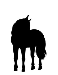 horse silhouette vector