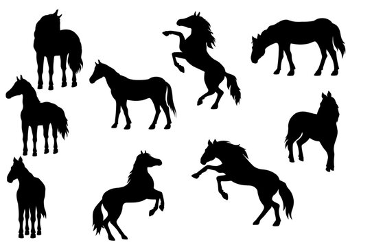 horse silhouette vector set
