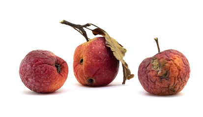 Three rotten wrinkled apples on a white isolated background