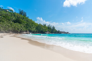 Fototapeta na wymiar Palms and turquoise water in Anse Intendance beach