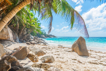 Fototapeta na wymiar Palm trees and rocks by the sea in Anse Intendance beach
