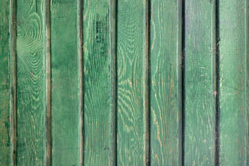 Green wood texture background