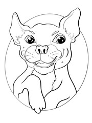 contour line illustration style animal dog french bulldog cute packaging design element print sticker or logo
