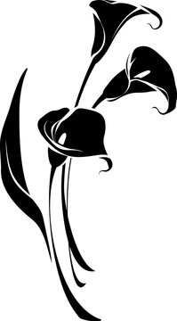 Bouquet of calla lily flowers isolated on a white background. Black silhouette of calla flowers bouquet. Vector black and white illustration