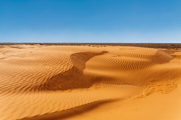 Picturesque view of desert dunes in Astrakhan region, Russia