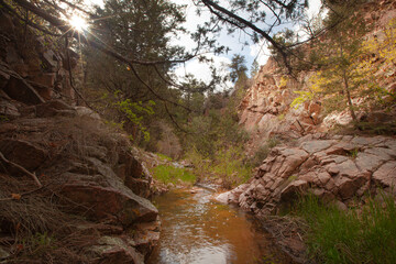 Fototapeta premium A view of Apache Canyon in Santa Fe National Forest, New Mexico.