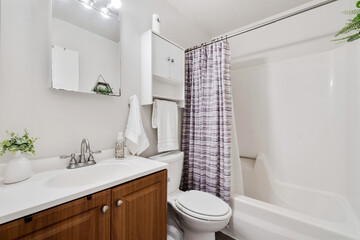 home bathroom 