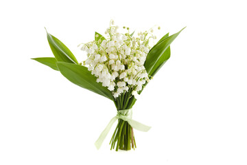 Lilly of the valley flowers and leaves isolated on white background