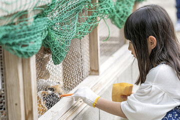 モルモットに餌をあげる女の子