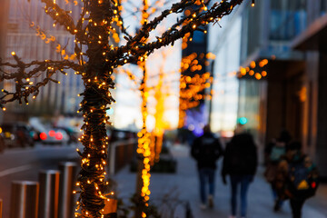 Obraz premium Christmas lights on tree in the street