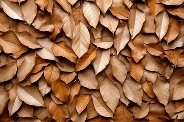 Dried tree leaves are multicolored filled background. Texture herbarium.
